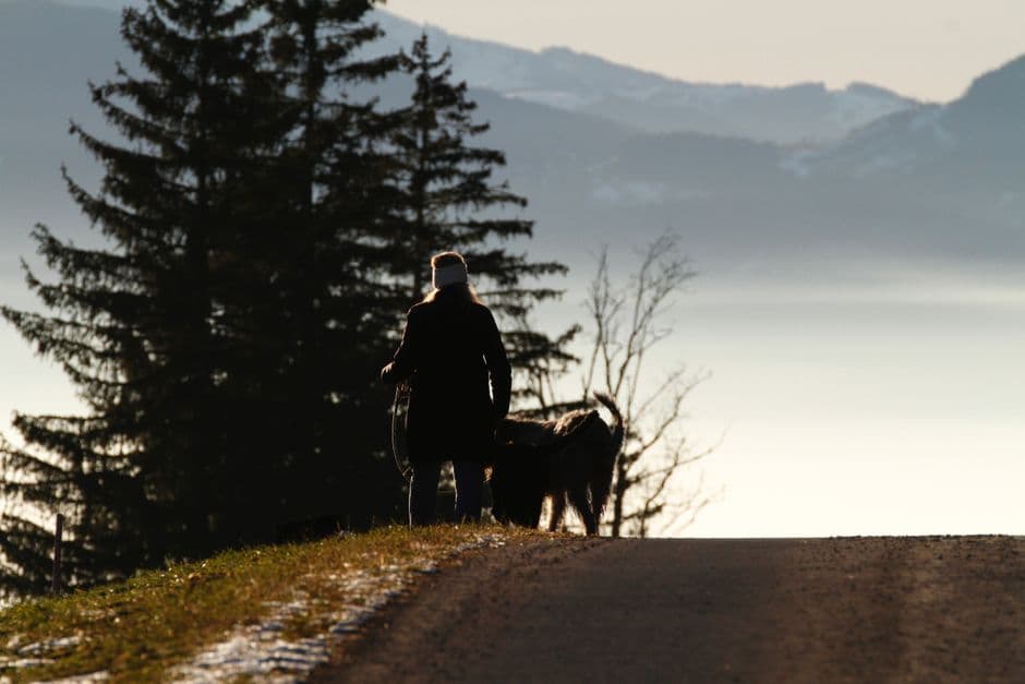 Introvert's Travel Hack: Find Your Perfect Quiet Companion