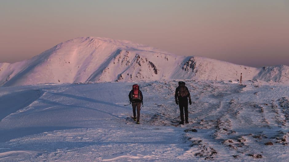 Your Ultimate Guide to Finding the Perfect Backpacking Partner